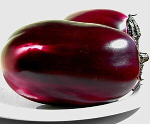 Aubergine violette