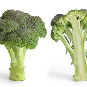 Brocoli